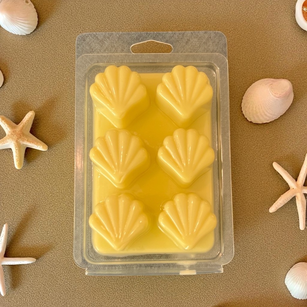 Hand Crafted “Beach Bum” Scented Coconut Soy Wax Melts (Seashell-Shaped)